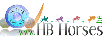 HBHORSES